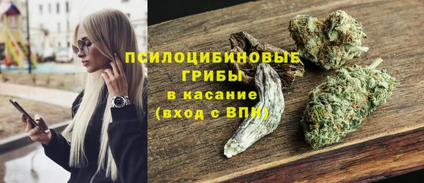 соль курить ск Богородицк